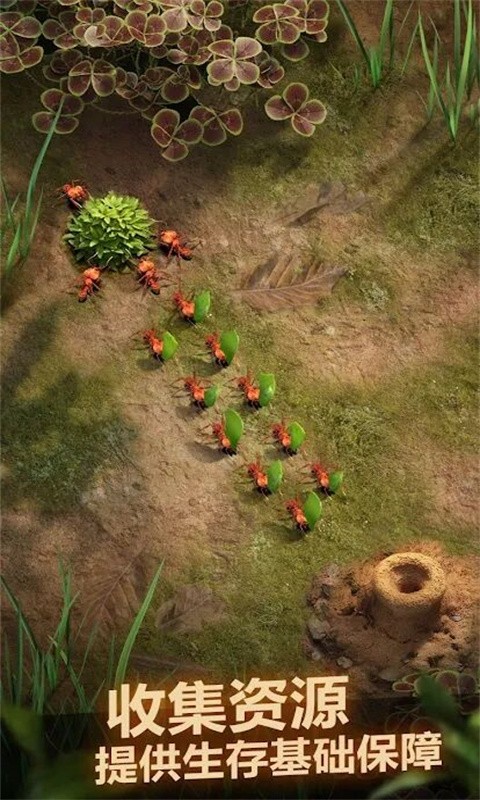 荒野蚂蚁模拟器的图册