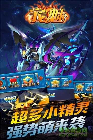 宠魅小米版的图册