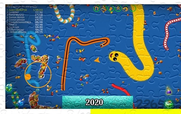 snakezone游戏的图册