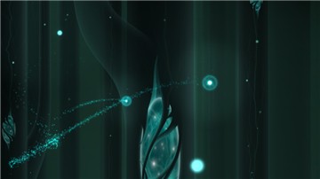 双子Gemini的图册