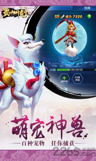 蜀山斗剑果盘版的图册