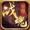 至尊战魂
