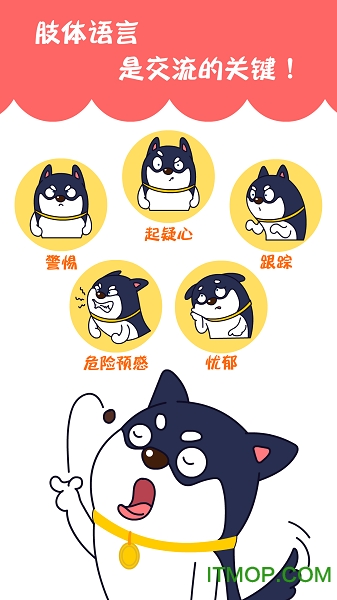 训狗养狗助手宠物社区的图册