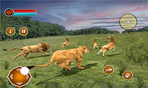 丛林霸主的图册