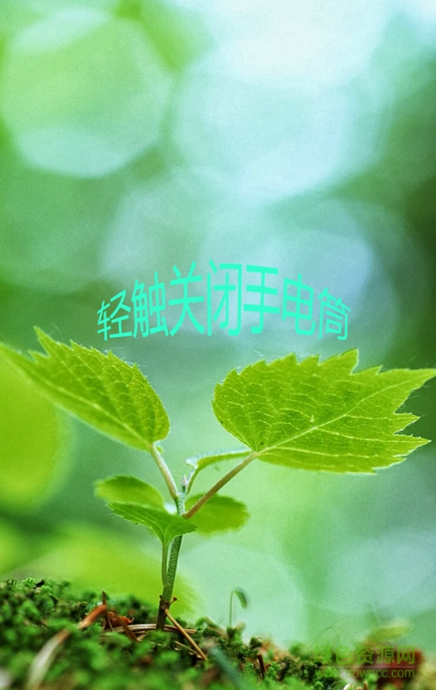 手电筒护眼宝手机版的图册