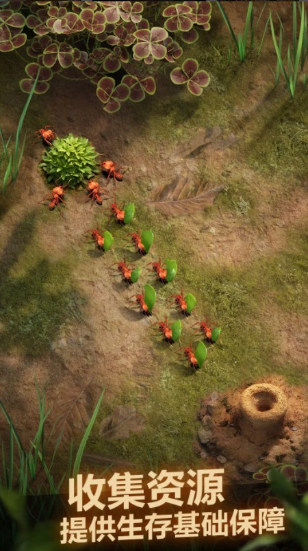 小小蚁国的图册