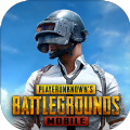 pubgmobile地铁逃生国际服官方正版