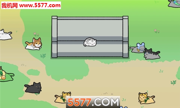 喵喵长跑安卓版的图册