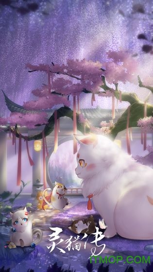 灵猫传全剧情解锁破解版的图册