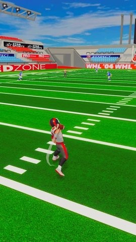 NFL生活3D中文版的图册