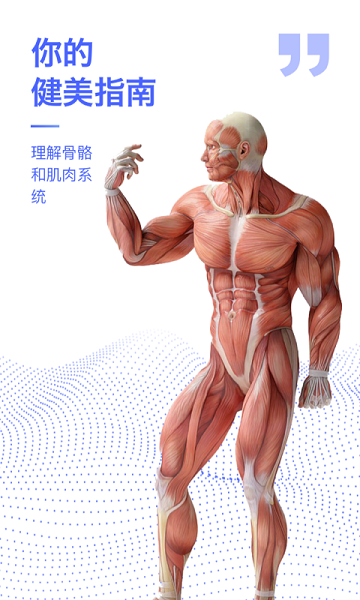 3d人体解剖学图集免费版的图册