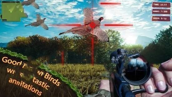 猎鸟猎人的图册