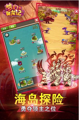 梦幻驯龙记的图册