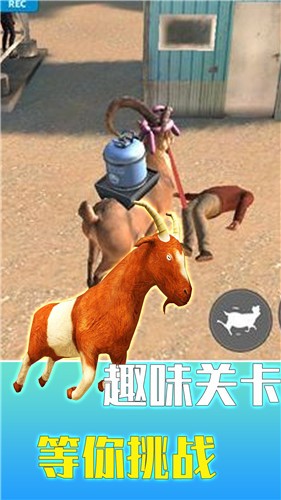 疯狂动物调查局的图册