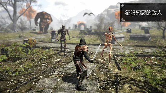 邪恶之地的图册