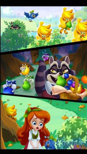 水果疯狂的图册