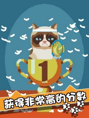 我的猫大人的图册