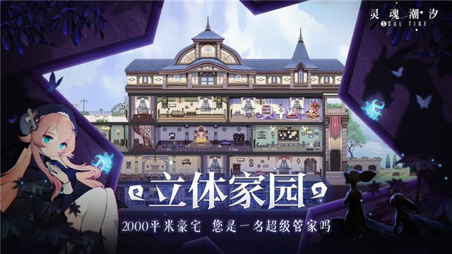 灵魂潮汐安卓版的图册