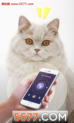 逗猫神器(CatToys安卓版)的图册