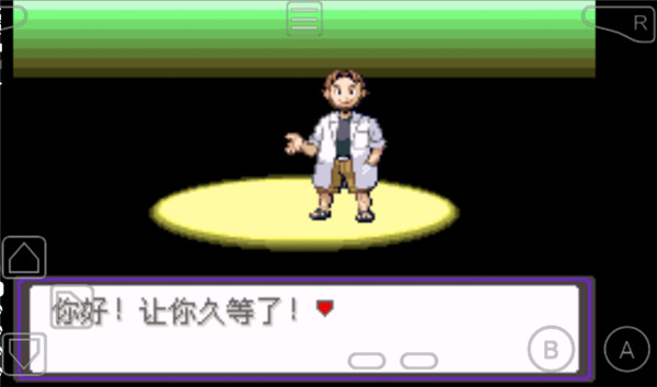 口袋妖怪漆黑的魅影5.0手机版的图册