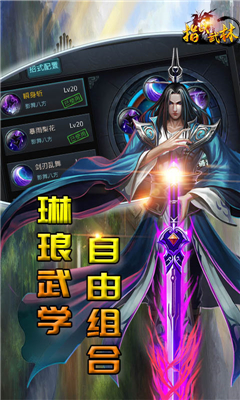 指战武林的图册