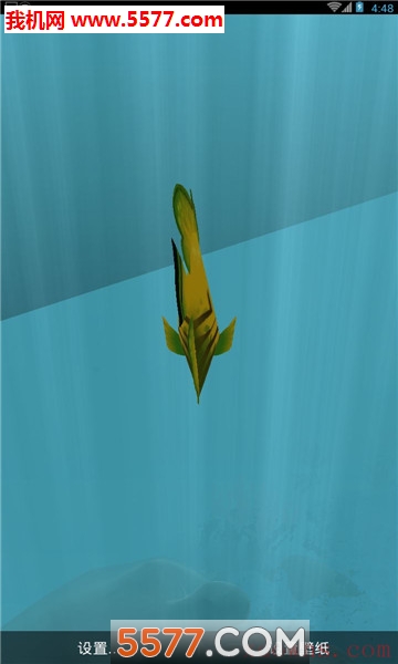 炫美海洋动态壁纸官方版的图册