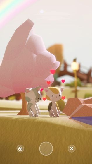 亲爱的猫咪的图册