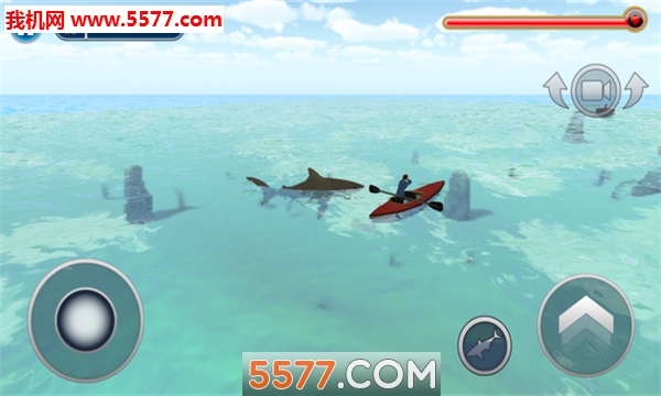 大白鲨的生活(lifeofgreatwhiteshark)的图册