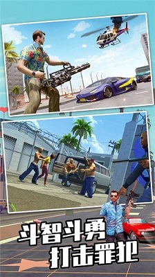 迈阿密英雄3D最新版的图册