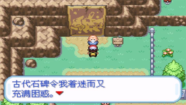 口袋妖怪盖亚半汉化版的图册