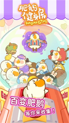 肥鹅健身房正版的图册