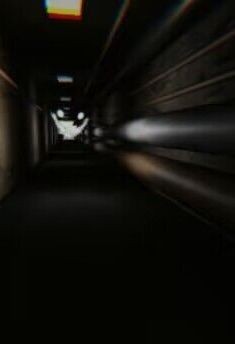 误入后室中文版的图册