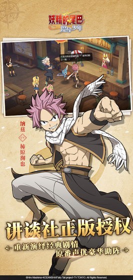 妖精的尾巴魔导少年的图册