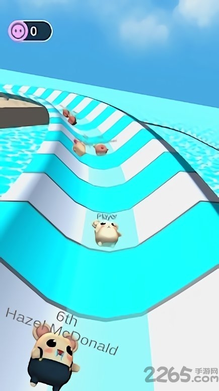 仓鼠水上乐园游戏的图册