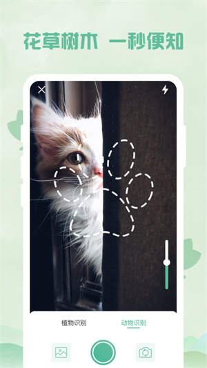识别植物软件的图册