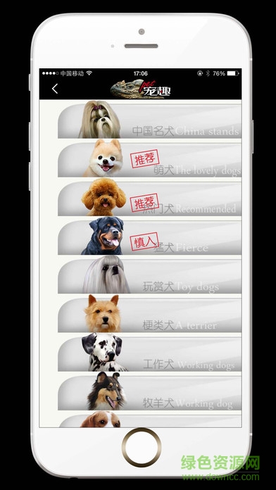 pet宠趣手机版的图册