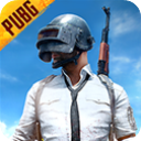 pubg官方版