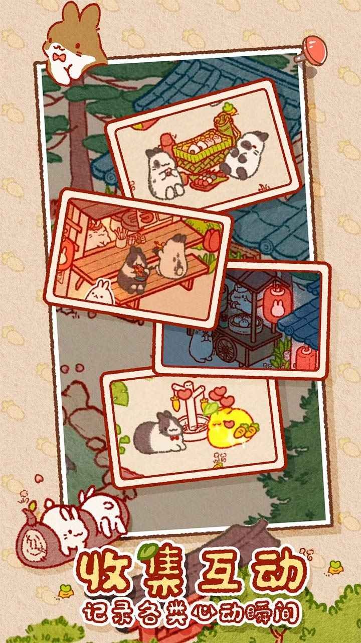 兔兔岛2024的图册