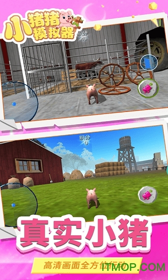小猪猪模拟器游戏的图册