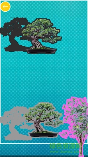 儿童认植物颜色的图册