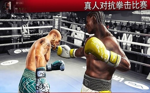 realboxing2apk的图册
