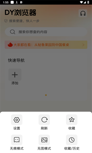DY浏览器官方版的图册