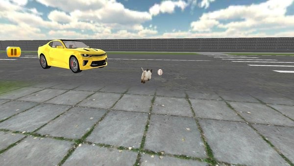 神奇的医生手机版的图册