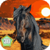 非洲马模拟器手游(AfricanHorse)