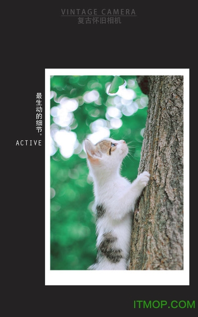 复古怀旧相机app的图册