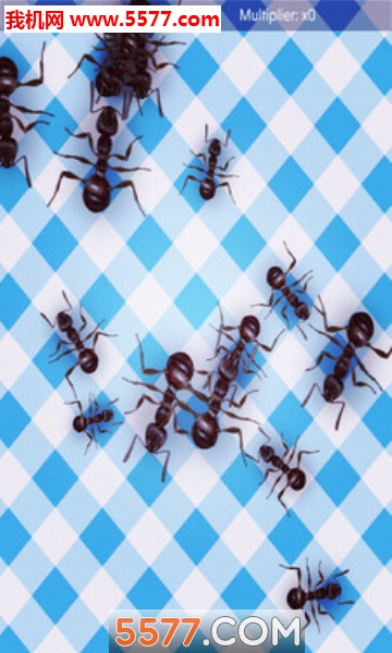 没有更多的蚂蚁手机版的图册