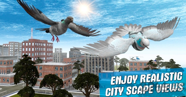 城市之鸟鸽子模拟器游戏的图册