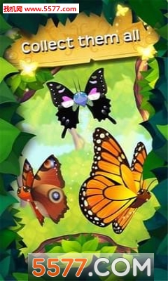 蝴蝶之星夜2安卓版的图册