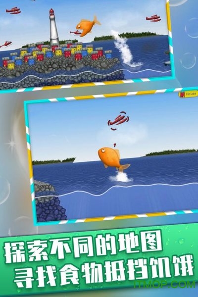 美味深蓝2中文版的图册