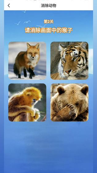 动物爱消除的图册